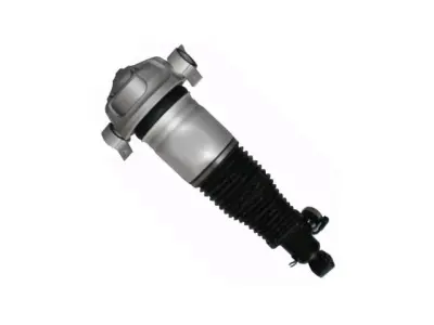 7L8616020C Air Suspension Parts Air Suspension Strut for AUDI Q7 (4LB)