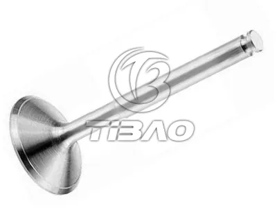 1190530401 Inlet Valve for