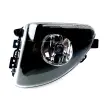 63177216885 Foglight for BMW 5 (F10)