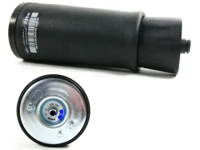 37121095580 Пневморессора для BMW X5 (E53)