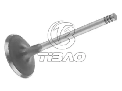 11341738214 Inlet Valve for BMW 3 (E36), Z4 Roadster (E85), 5 (E34), Z3 Roadster (E36)