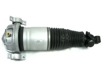 7L6616020D Air Suspension Parts Air Suspension Strut for AUDI Q7, PORSCHE Cayenne, VW TOUAREG