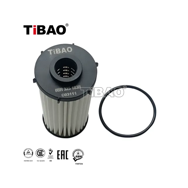 0BH325183B Transmission Parts Gearbox Filter Element for AUDI A3, VW GOLF, SEAT ALHAMBRA (710, 711), SKODA KODIAQ (NS7, NV7, NS6)