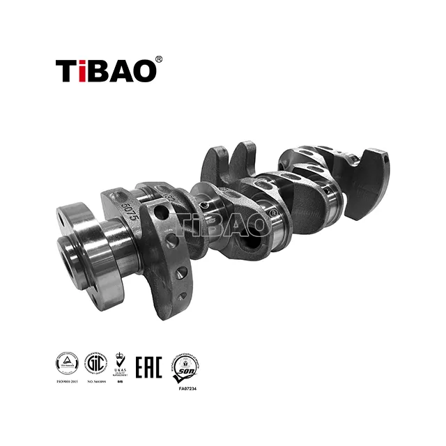 04E105101AS Engine Parts Crankshaft for 