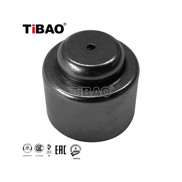 1863869012 Engine Parts Crankshaft Needle Bearing for MERCEDES-BENZ E-CLASS, FORD TRANSIT V363 Van (FCD, FDD), FORD (JMC) EVEREST, FORD AUSTRALIA RANGER Pickup (PX), JMC S350