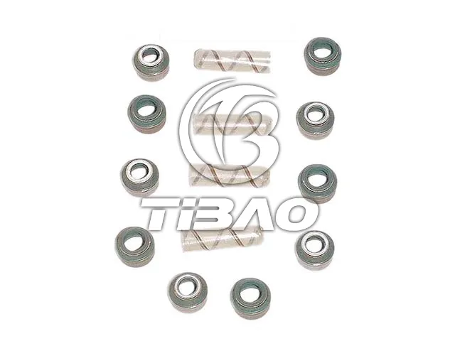 122721404 Engine Parts Valve Stem Seal for MERCEDES-BENZ SPRINTER 2-t Van (B901, B902), G-CLASS Cabrio (W460), UNIMOG, VARIO Van (B667, B670, B668), E-CLASS (W124), O 100, T1 Bus (B601), 190 (W201), T1 Van (601, 611), 124 Saloon (W124), T1/TN Van