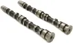 03C109101DF Engine Parts Camshaft for AUDI A1, VW BEETLE, SEAT ALHAMBRA (710, 711), SKODA FABIA II Combi (545), FABIA II Combi (5J, 545)