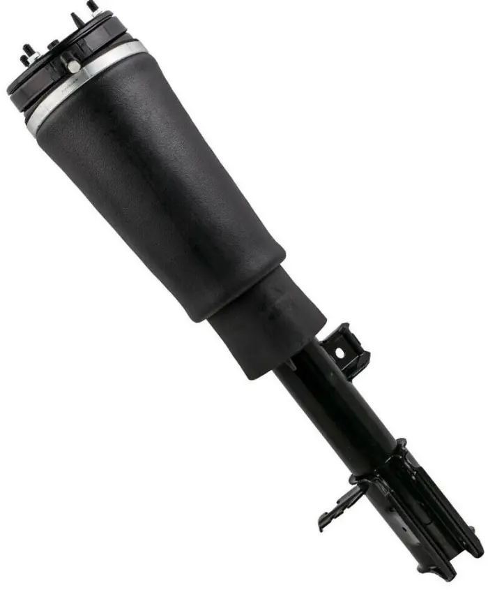 RNB500540 Air Suspension Parts Air Suspension Strut for LAND ROVER RANGE ROVER III (L322)