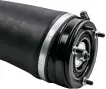 RNB500540 Air Suspension Parts Air Suspension Strut for LAND ROVER RANGE ROVER III (L322)