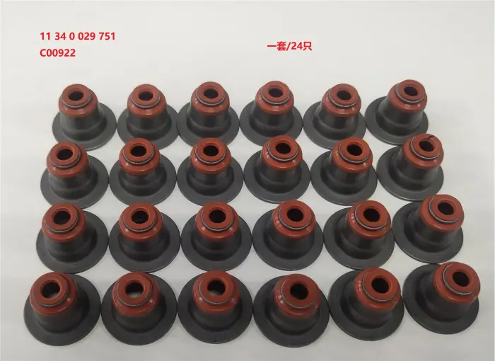 11347505417x24 Engine Parts Valve Stem Seal for BMW 6 (E63), 5 (E60), X5 (E53), X1 (E84), 1 (E87), 7 (E65, E66, E67), X6 (E71, E72), X3 (E83), 3 Compact (E46), Z4 Roadster (E85)