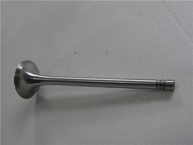 06D109601M611H Engine Parts Engine Valve for 