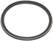 0219976545 Engine Parts Intercooler Hose O-Ring for