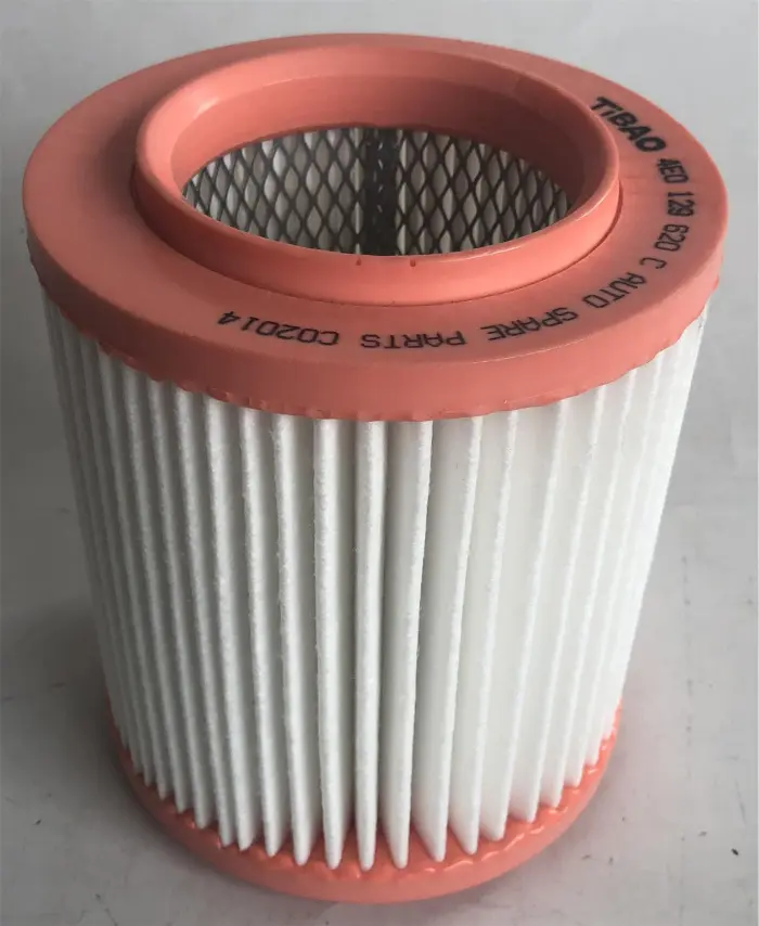 4E0129620C Engine Parts Air Filter for AUDI A8 / S8 D3 (4E2, 4E8)