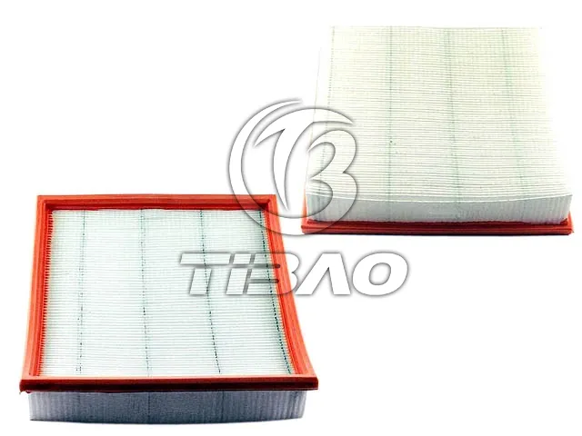 13711247405 Engine Parts Air Filter for BMW Z3 Roadster (E36), 3 Coupe (E36)