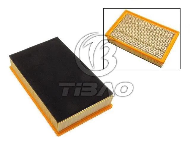 13717514832 Engine Parts Air Filter for BMW 7 (E65, E66, E67)