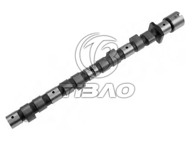 11311709580 Engine Parts Camshaft for BMW 5 (E34), 3 (E30)