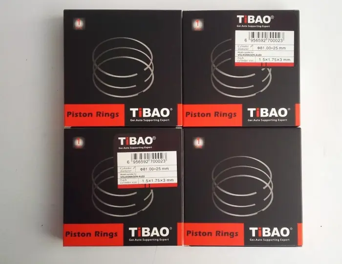 81151753075 Engine Parts Piston Rings for 