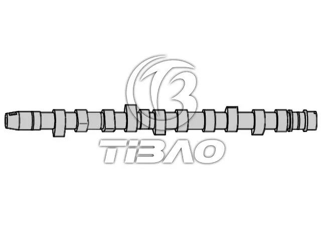 074109101J Engine Parts Camshaft for AUDI A6, VW LT