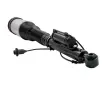 2203202338 Air Suspension Parts Air Suspension Strut for MERCEDES-BENZ S-CLASS (W220)