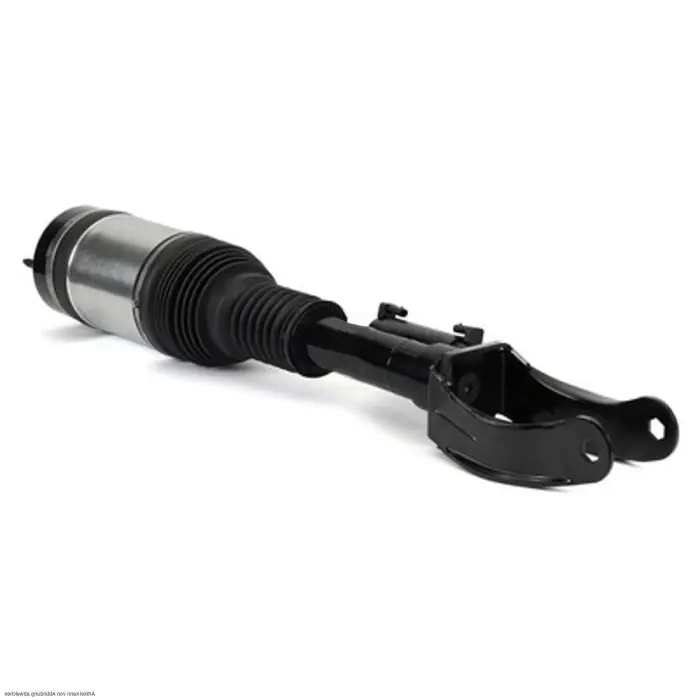 2923204613 Air Suspension Parts Air Suspension Strut for MERCEDES-BENZ GLE (W166), GL-CLASS (X166), M-CLASS (W166)