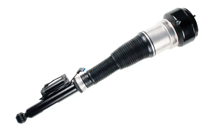 2213201238 Air Suspension Parts Air Suspension Strut for MERCEDES-BENZ S-CLASS (W221)