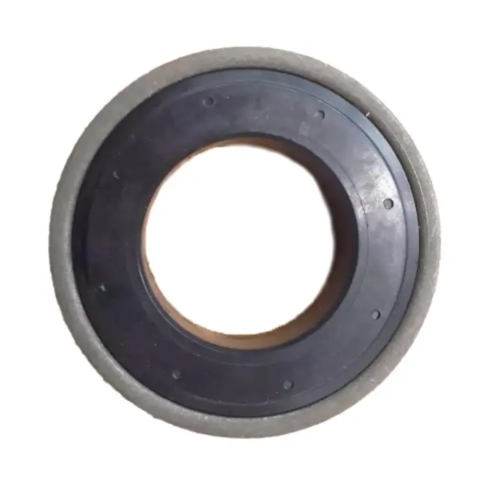 0C7398189 Engine Parts Oil Seal for 