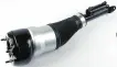 2223204713 Air Suspension Parts Air Suspension Strut for MERCEDES-BENZ S-CLASS (W222, V222, X222)
