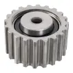 7700107249 Engine Parts Tensioner Pulley for 