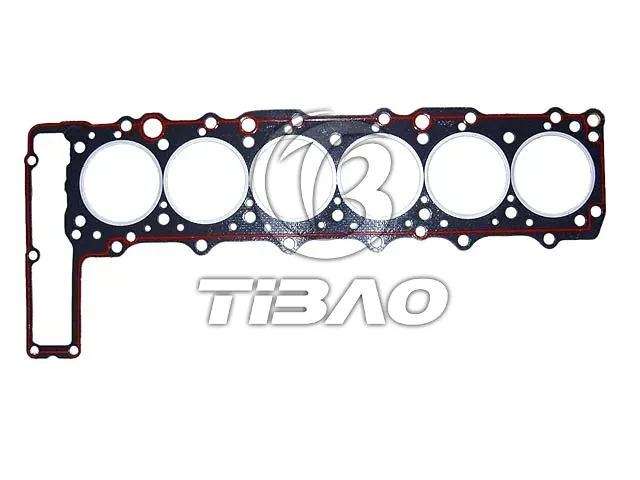 6030163720 Engine Parts Cylinder Head Gasket for MERCEDES-BENZ S-CLASS (W140), G-CLASS Cabrio (W463)