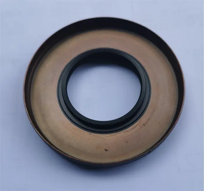 33107505604 Engine Parts Oil Seal for BMW X1 (E84), X3 (E83), 3 (E46), 1 (E87), 5 (E39), 6 Convertible (E64), Z4 Roadster (E85), 7 (E38), X5 (E53)