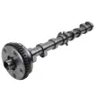 06J109021H Engine Parts Camshaft for 
