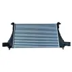 3QF145803A Engine Parts Turbo Cooler for VW ATLAS (CA1)