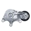 11287594969 Engine Parts Belt Tensioner for BMW 1 (F21), 2 Coupe (F22, F87), 5 Touring (F11), X1 (E84), 4 Coupe (F32, F82), X4 (F26), X3 (F25), 3 (F30, F80), Z4 Roadster (E89)