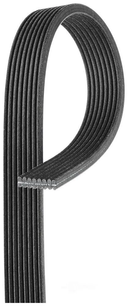 8DPK1410 Engine Parts V-Ribbed Belt for 