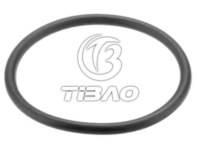 038121119B 水通胶圈 for AUDI Q5, VW AMAROK, MITSUBISHI GALANT FORTIS VIII Sportback (CX_A), LANCER EX VII, SEAT IBIZA III (6L1), IBIZA Mk III (6L1), SKODA ROOMSTER Praktik (5J)