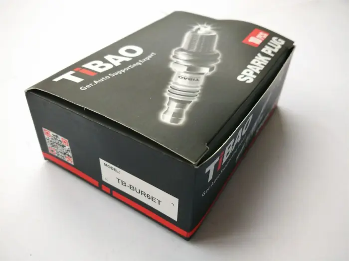 TBBUR6ET Engine Parts Spark Plugs for 