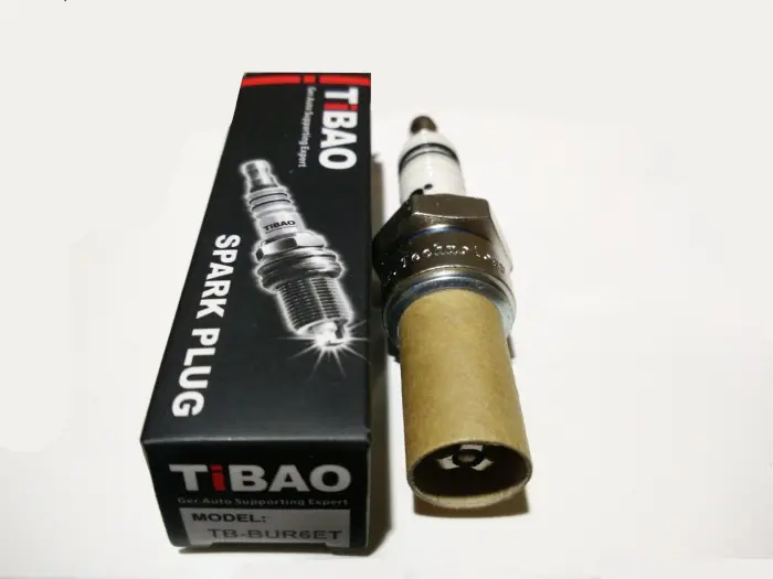 TBBUR6ET Engine Parts Spark Plugs for 