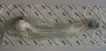 4F0407693H Suspension Parts Control Arm for AUDI A6 / S6 C6 (4F2)