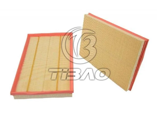 13717548888 Engine Parts Air Filter for BMW X5 (E70)