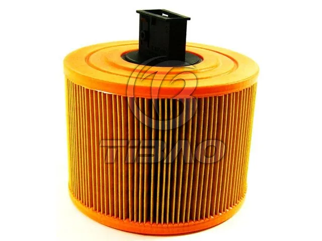 13717536006 Engine Parts Air Filter for