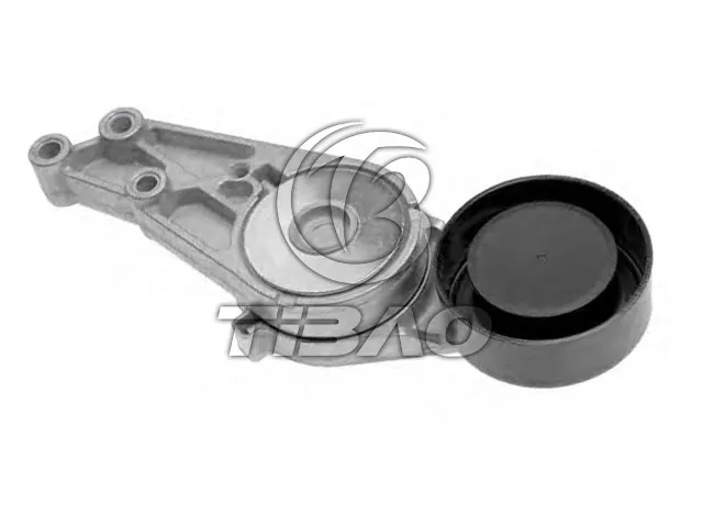 06B903133 Engine Parts Belt Tensioner for AUDI A4, SEAT EXEO ST (3R5)