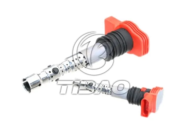 06C905115H Engine Parts Ignition Coil for AUDI A6 / S6 C5 (4B2), A4 / S4 B6 (8E2), A8 / S8 D3 (4E2, 4E8)