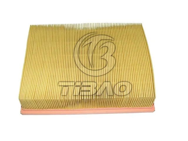 13721730946 Engine Parts Air Filter for BMW X3 (E83), Z4 Roadster (E85), 3 (E36), Z3 Roadster (E36), 5 (E39), 7 (E38)