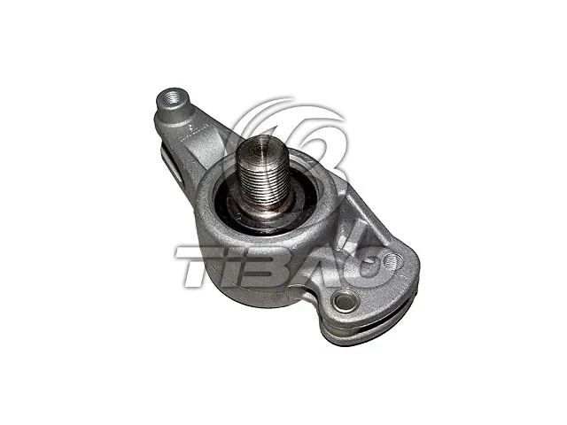 6012001773 Engine Parts Belt Tensioner for MERCEDES-BENZ G-CLASS (W460), E-CLASS (W124), C-CLASS (W202), S-CLASS (W140), UNIMOG, T1 Bus (B601), 124 Saloon (W124), 190 (W201), T1 Van (601, 611), T2/LN1 Dump Truck, T1/TN Platform/Chassis