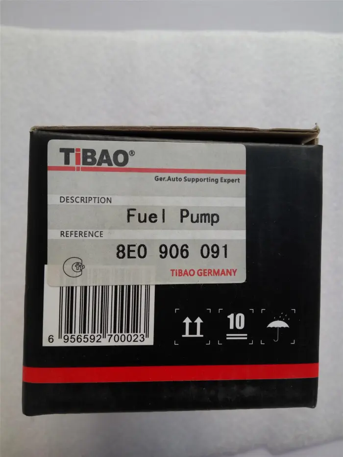 3B0906019 Engine Parts Electrical Fuel Pump for AUDI A6, VW PASSAT