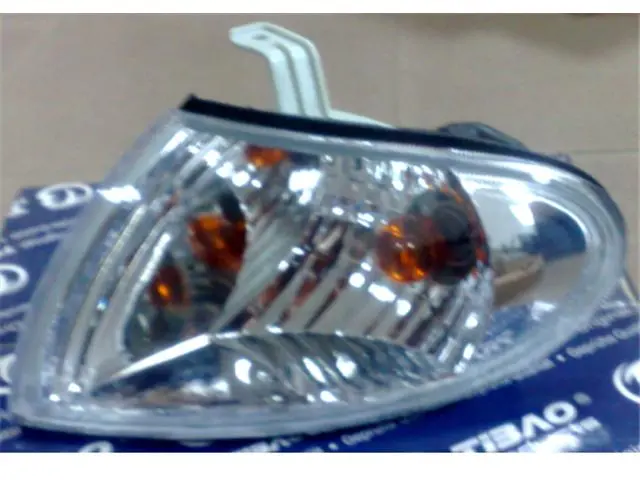 WH0202002BL Corner Light for 