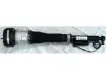 2213202113 Air Suspension Parts Air Suspension Strut for MERCEDES-BENZ S-CLASS (W221)