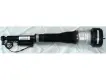 2213202213 Air Suspension Parts Air Suspension Strut for MERCEDES-BENZ S-CLASS (W221)
