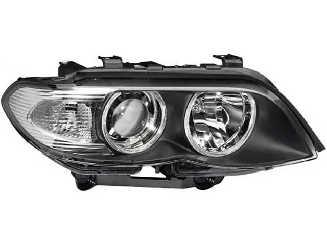 63117166804 Headlight for BMW X5 (E53)