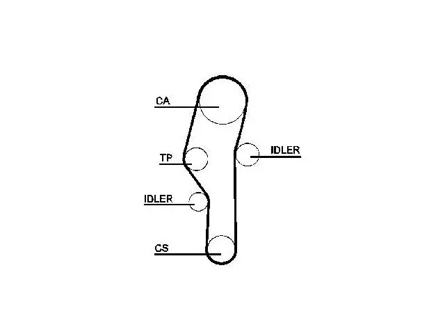 11121721659 Engine Parts Timing Belt for